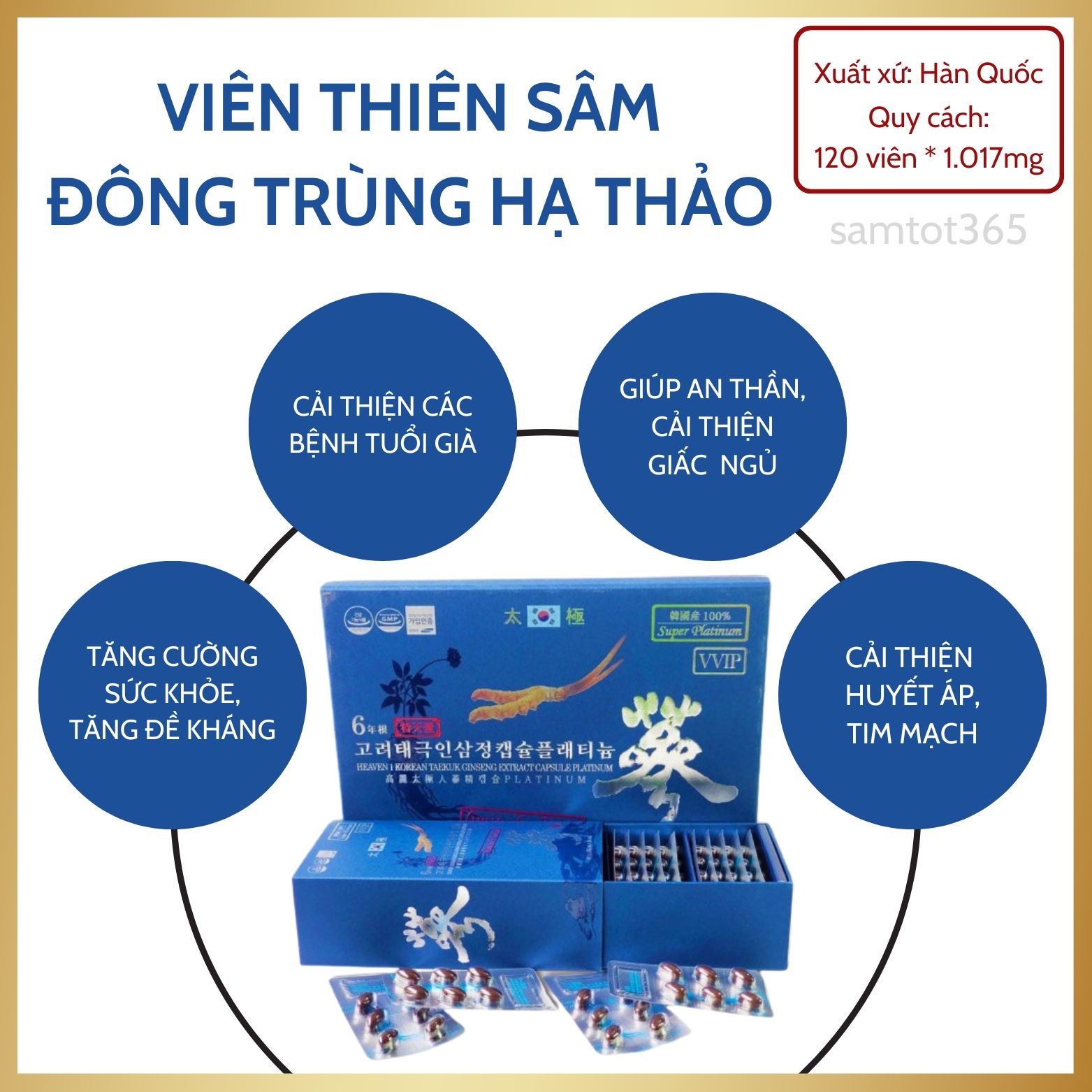 VIÊN THIÊN SÂM ĐÔNG TRÙNG HẠ THẢO CAO CẤP 180 VIÊN