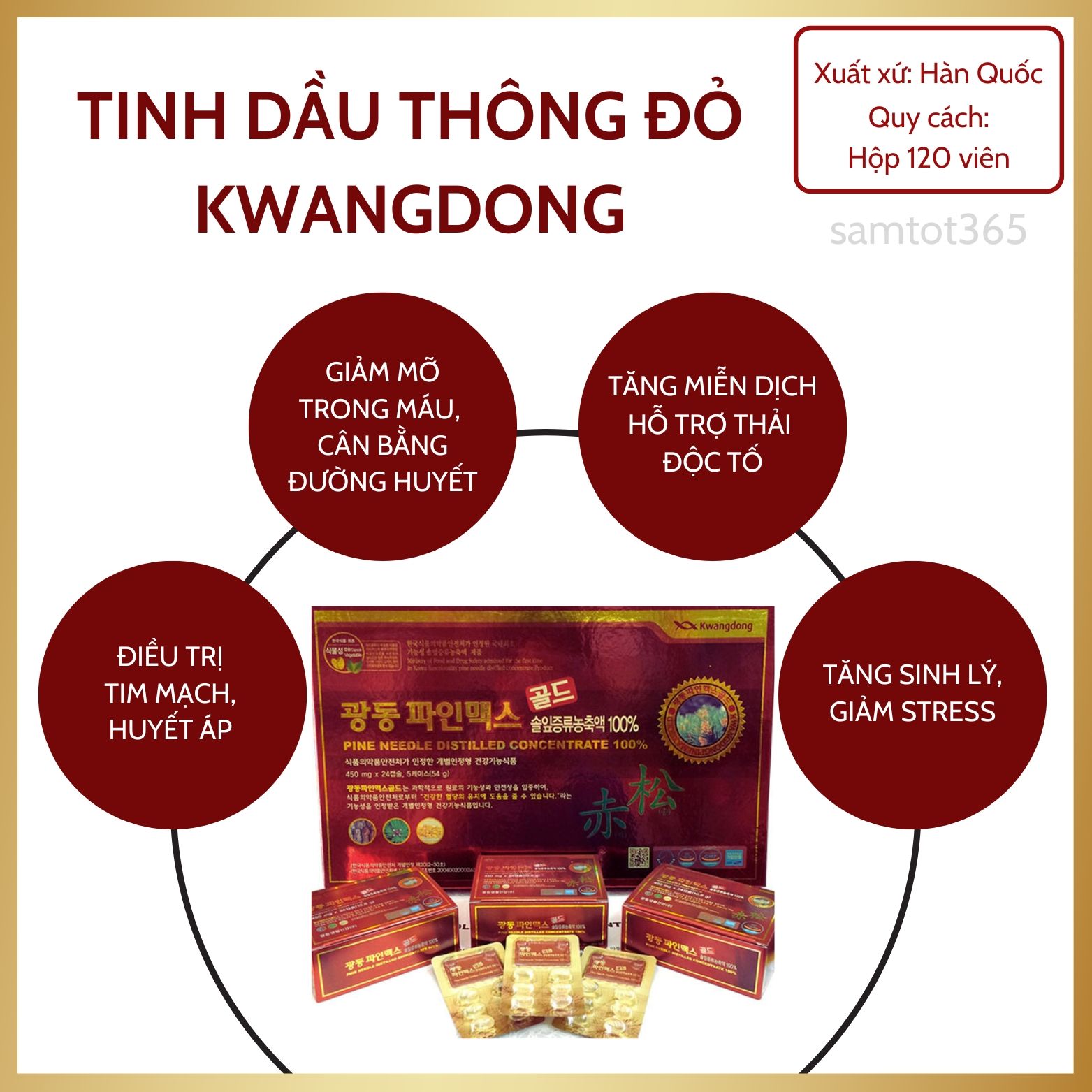 VIÊN TINH DẦU THÔNG ĐỎ KWANGDONG 120 VIÊN