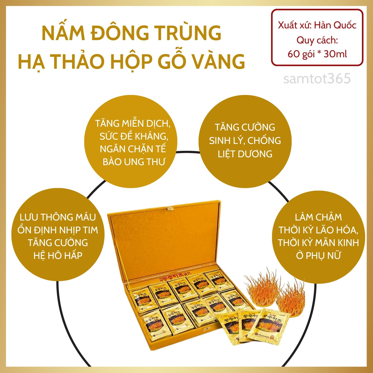 ĐÔNG TRÙNG HẠ THẢO HỘP GỖ VÀNG (60 GÓI x 30ml) - giúp cân bằng các nội tiết trong cơ thể, tăng tuần hoàn máu não, dùng tốt cho người làm việc quá sức, người suy nhược cơ thể.