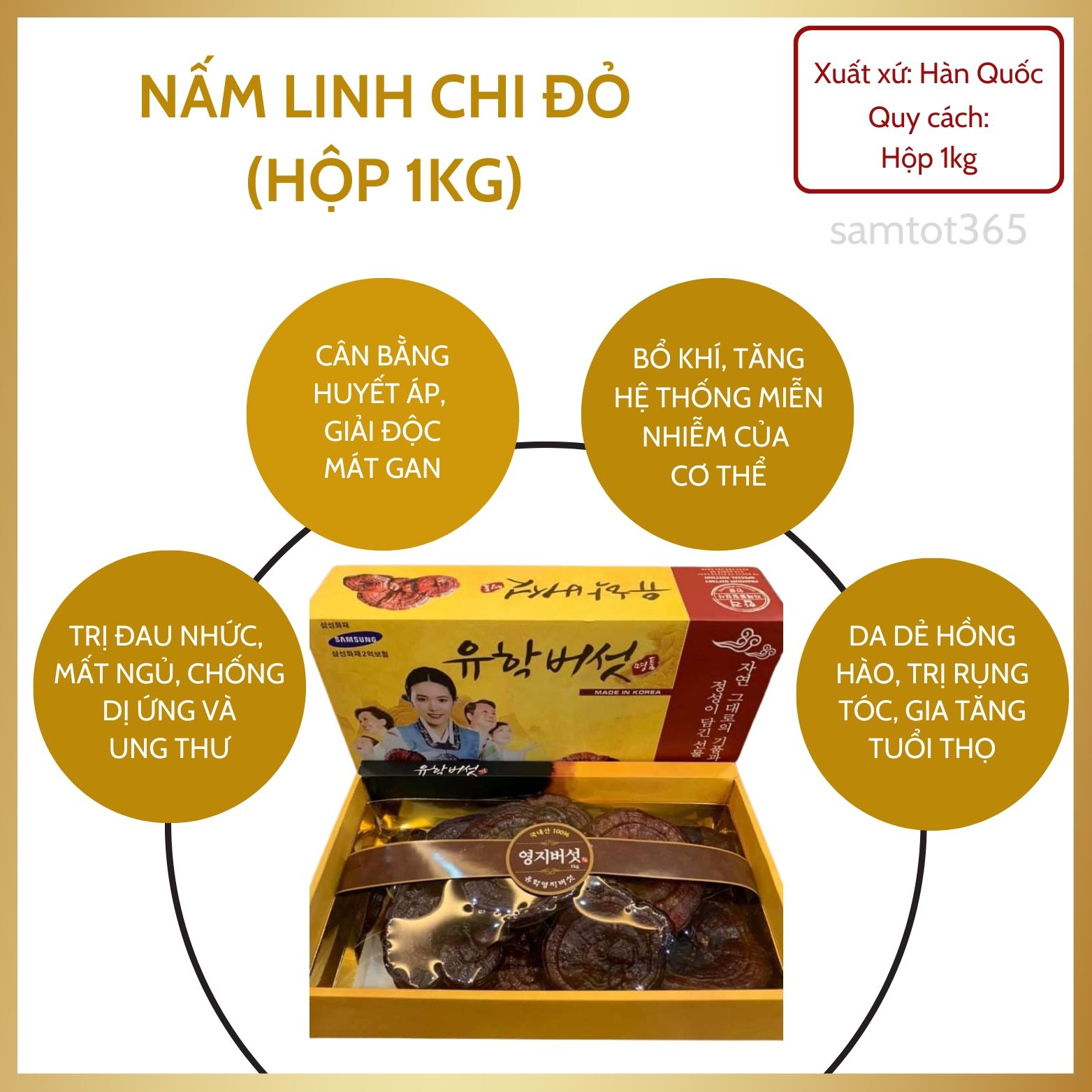 NẤM LINH CHI ĐỎ CÔ GÁI HÀN QUỐC HỘP 1KG - HỖ TRỢ NGƯỜI MẮC BỆNH BÉO PHÌ, CAO HUYẾT ÁP, NGƯỜI BỊ BÊNH VỀ ĐƯỜNG, NGƯỜI CÓ NHU CẦU TĂNG CƯỜNG SỨC KHỎE THÀNH PHẦN: