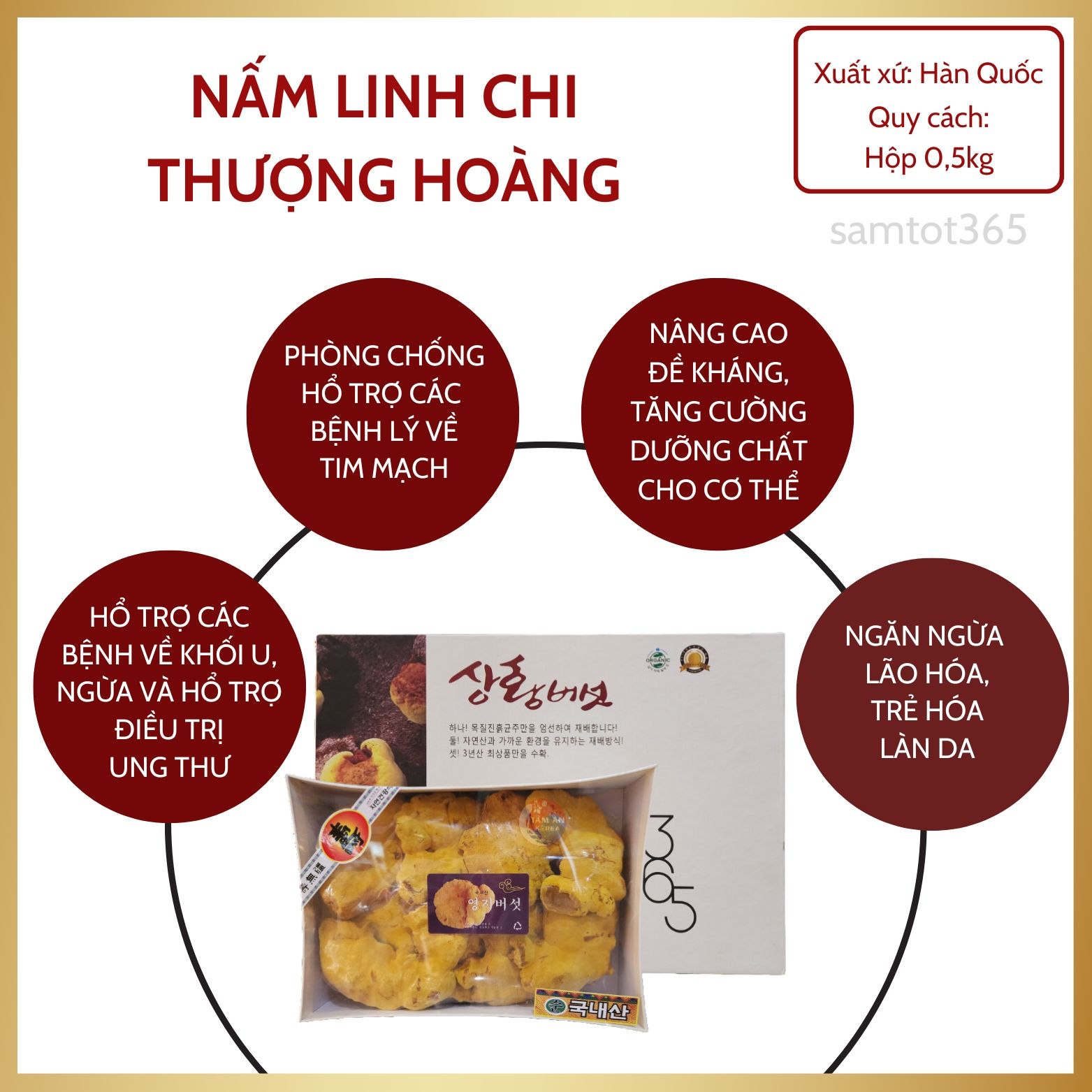 NẤM LINH CHI THƯỢNG HOÀNG HỘP 0,5KG - TÁC DỤNG CHỦ YẾU VỚI NGƯỜI BỊ BỆNH VỀ UNG THƯ, HỔ TRỢ HẠN CHẾ SỰ PHÁT TRIỂN CỦA TẾ BÀO UNG THƯ, BẢO VỆ GAN, GIẢI ĐỘC, CƯỜNG TÂM, KIỆN NÃO, TIÊU ĐỜM, LỢI NIỆU, ÍCH VỊ (BỔ DẠ DÀY)