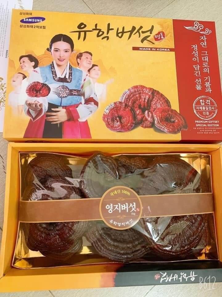 NẤM LINH CHI ĐỎ CÔ GÁI HÀN QUỐC HỘP 1KG - HỖ TRỢ NGƯỜI MẮC BỆNH BÉO PHÌ, CAO HUYẾT ÁP, NGƯỜI BỊ BÊNH VỀ ĐƯỜNG, NGƯỜI CÓ NHU CẦU TĂNG CƯỜNG SỨC KHỎE THÀNH PHẦN: - Hình ảnh 3