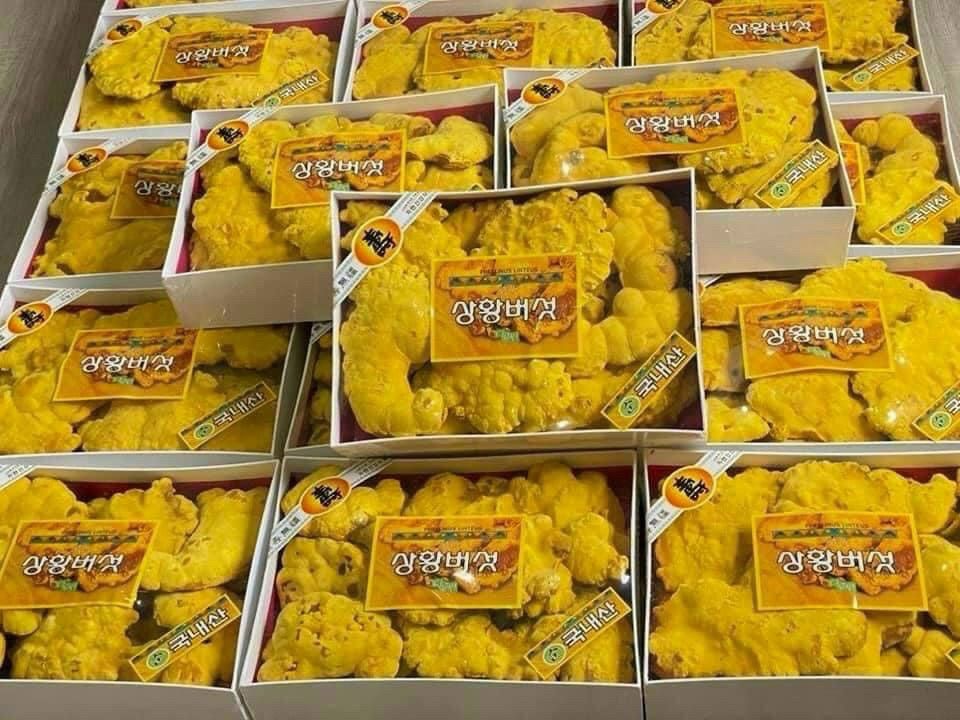 NẤM LINH CHI THƯỢNG HOÀNG HỘP 0,5KG - Hình ảnh 3