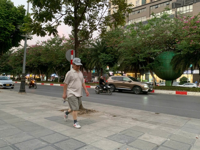 Ngày nào cũng đi bộ có tốt không?- Ảnh 1.